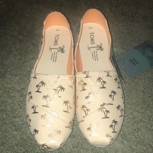 Shimmer Palm TOMS🌴